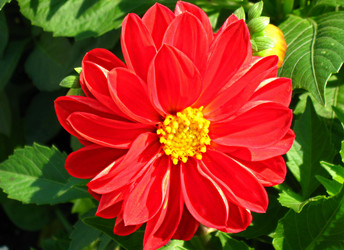 Similar image 983929