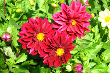 Similar image 983934