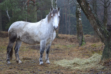 Similar image 983937