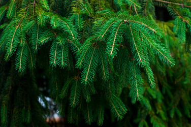 Similar image 983950