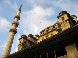 Similar image 983992