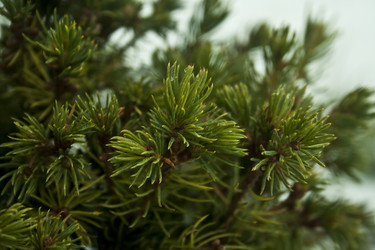 Similar image 984039