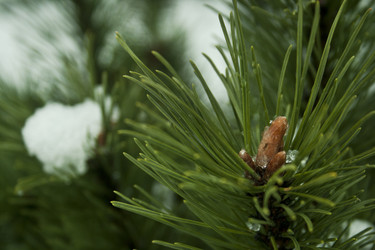 Similar image 984047