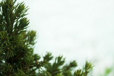 Similar image 984051