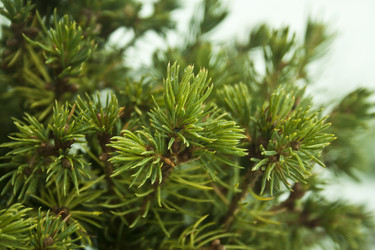 Similar image 984052