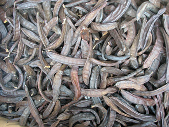 Similar image 984053