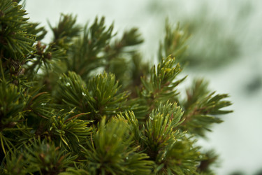 Similar image 984054