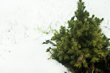 Similar image 984056