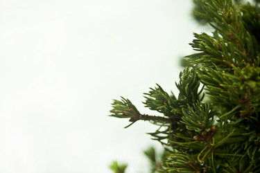 Similar image 984057