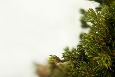 Similar image 984058