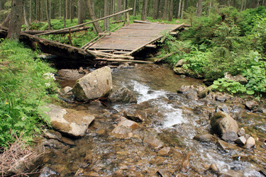 Similar image 984069