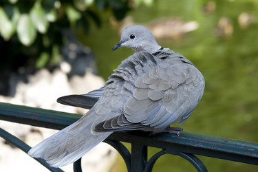 Similar image 984081