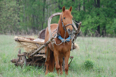 Similar image 984123