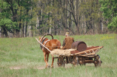 Similar image 984127