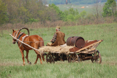 Similar image 984128