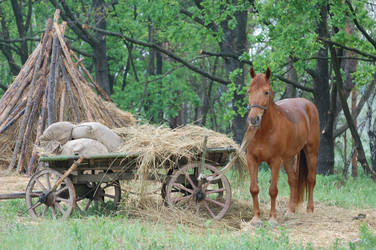 Similar image 984138