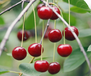 Similar image 984266