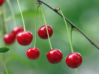 Similar image 984268