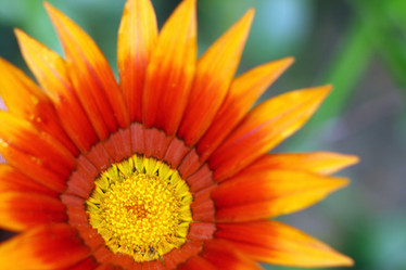 Similar image 984271