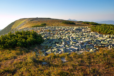 Similar image 984287