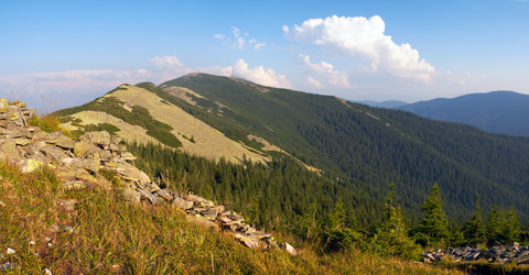 Similar image 984292