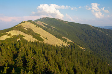 Similar image 984294