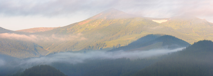 Similar image 984296