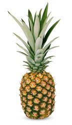 Similar image 984341