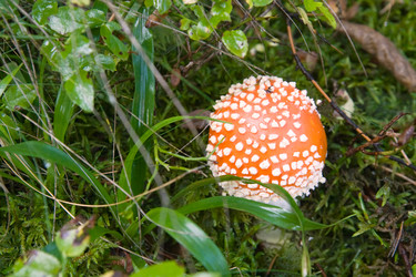 Similar image 984355