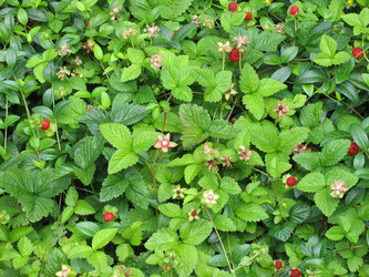 Similar image 984503