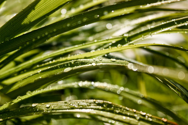 Similar image 984559