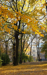 Similar image 984623