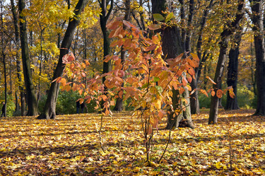 Similar image 984624