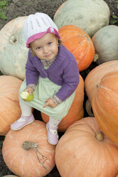 Similar image 984627