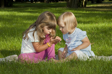 Similar image 984632