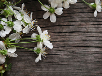 Similar image 984727