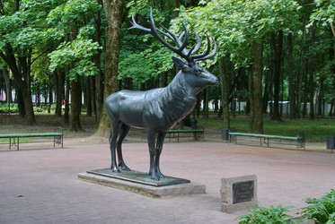 Similar image 984735