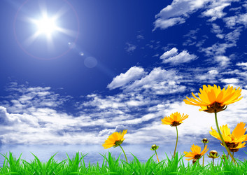 Similar image 984791