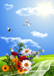 Similar image 984815