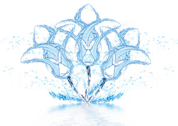 Similar image 984827