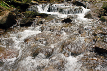 Similar image 984905