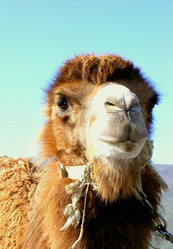 Similar image 984939