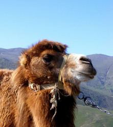 Similar image 984946