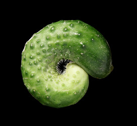 Similar image 984947