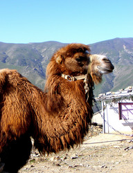 Similar image 984949