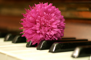 Similar image 984978