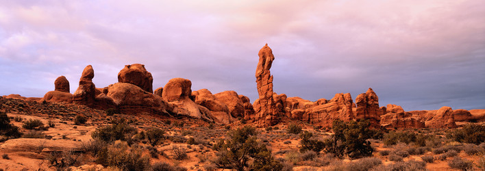 Similar image 984991