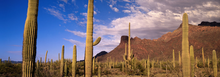 Similar image 985005