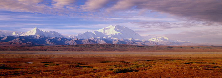 Similar image 985010