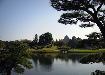 Similar image 985044